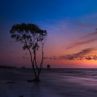 Сон у источника