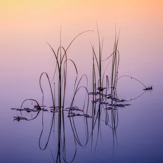 Звуки океана для глубокого отдыха
