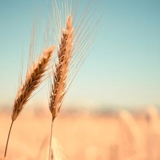 Перезагрузка за 7 минут