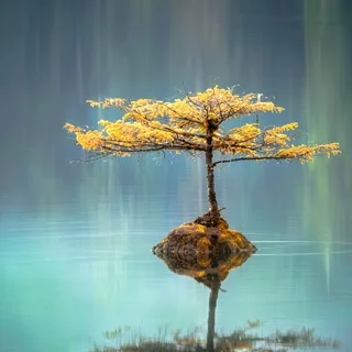 Звуковой ландшафт для сна и исцеления